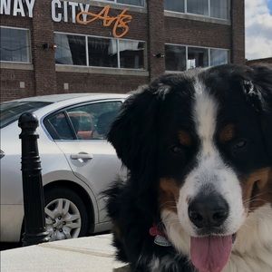 Meet your Posher, Spencer